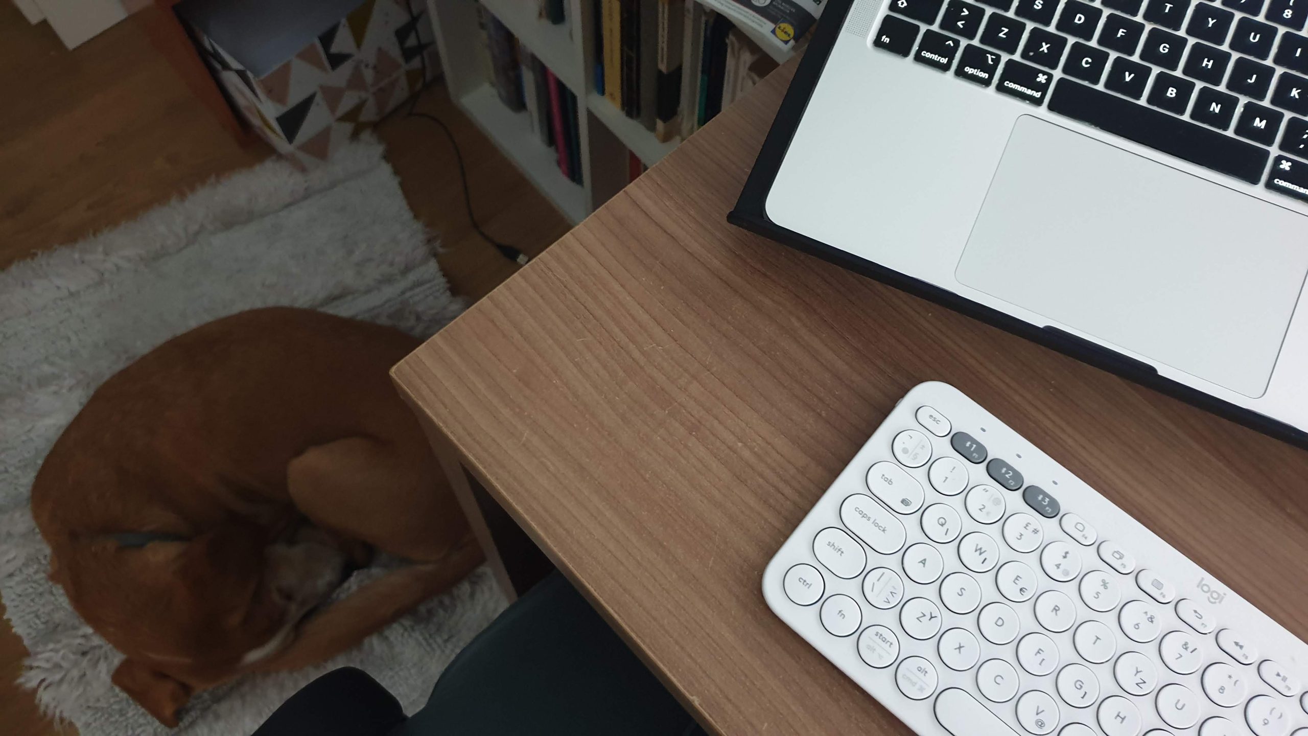 My Croatian Language teaching buddy